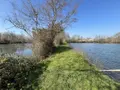 Terrains de loisirs bois etangs a vendre Connerré 72160 Sarthe 72 85000 euros 72033-426 002