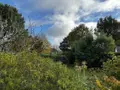 Maison a vendre Arradon 56610 Morbihan 56 152 m2 1434443 euros 56003-1375 039