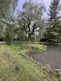 Terrains de loisirs bois etangs a vendre Le Grand-Lucé 72150 Sarthe 72 37000 euros 72085-2238 009