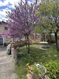 Maison a vendre Nant 12230 Aveyron 12 170 m2 4 pièces 180000 euros 12051-28 021