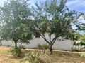 Maison a vendre Faverney 70160 Haute-Saône 70 86 m2 5 pièces 96000 euros 70001-101 009