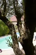 Maison a vendre Cholet 49300 Maine-et-Loire 49 390 m2 14 pièces 900000 euros 49055-117 011