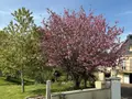 Maison a vendre Guern 56310 Morbihan 56 148 m2 5 pièces 196080 euros 56062-2319 008