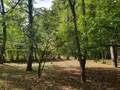 Maison a vendre Le Pallet 44330 Loire-Atlantique 44 143 m2 7 pièces 286900 euros 44042-109 005