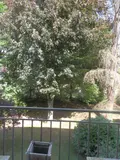 Appartement a vendre Montargis 45200 Loiret 45 69 m2 3 pièces 85200 euros 45049-105 010