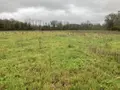 Terrain a batir a vendre Pluneret 56400 Morbihan 56 88000 euros 56023-1336 002