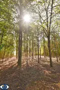 Terrains de loisirs bois etangs a vendre Vaiges 53480 Mayenne 53 69000 euros 53004-1365 003