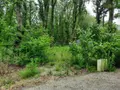 Terrain a batir a vendre Soullans 85300 Vendée 85 106600 euros 85091-5099 003
