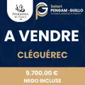 Terrains de loisirs bois etangs a vendre Cléguérec 56480 Morbihan 56 9700 euros 56062-1994 002