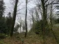 Terrains de loisirs bois etangs a vendre Champ-du-Boult 14380 Calvados 14 56710 euros 14076-5853 005
