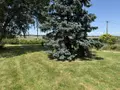 Maison a vendre Le Tour-du-Parc 56370 Morbihan 56 108 m2 6 pièces 571725 euros 56084-394 009