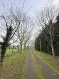 Maison a vendre Montrevault-sur-Èvre 49600 Maine-et-Loire 49 250 m2 9 pièces 354900 euros 49055-89 004
