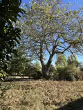 Maison a vendre Charsonville 45130 Loiret 45 142 m2 6 pièces 74200 euros 41029-74 014