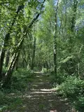 Terrains de loisirs bois etangs a vendre Noues de Sienne 14380 Calvados 14 168800 euros 14076-5956 009