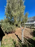 Maison a vendre Theix-Noyalo 56450 Morbihan 56 74 m2 4 pièces 201000 euros 56004-882 009