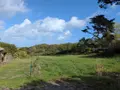 Terrain a batir a vendre Plougasnou 29630 Finistère 29 345200 euros 29086-1777 005