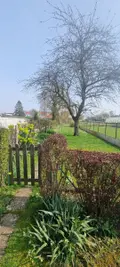 Maison a vendre Arras 62000 Pas-de-Calais 62 150 m2 5 pièces 259000 euros 62133-1480 004