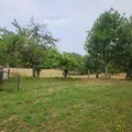 Maison a vendre Avezé 72400 Sarthe 72 146 m2 6 pièces 520000 euros 72085-2196 012
