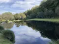 Terrains de loisirs bois etangs a vendre Melrand 56310 Morbihan 56 32400 euros 56064-1447 001