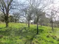 Terrain a batir a vendre Roullours 14500 Calvados 14 38000 euros 14076-4986 001
