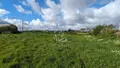 Terrain a batir a vendre Plounévez-Lochrist 29430 Finistère 29 78168 euros 29094-896 001