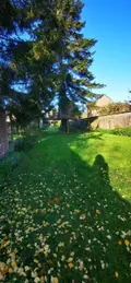 Terrain a batir a vendre Trith-Saint-Léger 59125 Nord 59 42800 euros 59157-2392 004