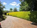 Maison a vendre Plélauff 22570 Côtes-d'Armor 22 97 m2 4 pièces 239500 euros 56075-2491 016
