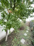 Maison a vendre La Tremblade 17390 Charente-Maritime 17 62 m2 3 pièces 210000 euros 17112-664 003