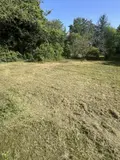 Terrain a batir a vendre Beauce la Romaine 41240 Loir-et-Cher 41 33000 euros 41029-55 002