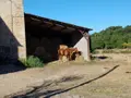 Maison a vendre Saint-Affrique 12400 Aveyron 12 900 m2 14 pièces 300000 euros 12051-10 002