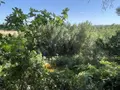 Maison a vendre Ceyras 34800 Hérault 34 130 m2 6 pièces 250000 euros 34074-257 012
