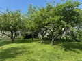 Maison a vendre Beslon 50800 Manche 50 94 m2 3 pièces 143190 euros 50038-2720 003