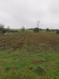 Terrain a batir a vendre Tincques 62127 Pas-de-Calais 62 53000 euros 62113-1260 001
