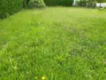 Terrain a batir a vendre Champigné 49330 Maine-et-Loire 49 31800 euros 49096-1339 003