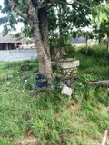 Maison a vendre Silfiac 56480 Morbihan 56 85 m2 4 pièces 145470 euros 56075-2253 011