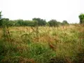 Terrain a batir a vendre Locmalo 56160 Morbihan 56 19188 euros 56075-1983 001