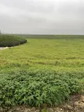 Terrain a batir a vendre Wambaix 59400 Nord 59 59800 euros 59191-5777 001