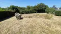 Maison a vendre Plouharnel 56340 Morbihan 56 141 m2 7 pièces 498720 euros 56041-891 004