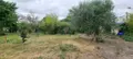 Terrain a batir a vendre Les Ponts-de-Cé 49130 Maine-et-Loire 49 162400 euros 49013-2120 001