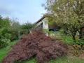 Maison a vendre Lougres 25260 Doubs 25 211 m2 8 pièces 199000 euros 25054-1707 022