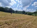 Terrains de loisirs bois etangs a vendre Plouray 56770 Morbihan 56 17500 euros 29066-3770 005