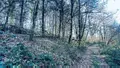 Terrains de loisirs bois etangs a vendre Guilligomarc'h 29300 Finistère 29 53600 euros 56081-2280 003