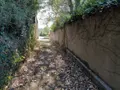 Maison a vendre La Chapelle-Souëf 61130 Orne 61 54 m2 16500 euros 61068-70 010