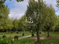 Terrains de loisirs bois etangs a vendre Saillagouse 66800 Pyrénées-Orientales 66 40000 euros 66060-23 004