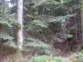Terrains de loisirs bois etangs a vendre La Folletière-Abenon 14290 Calvados 14 6500 euros 14058-1510 003
