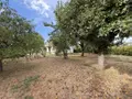 Maison a vendre Aiserey 21110 Côte-d'Or 21 91 m2 4 pièces 243800 euros 21012-286 005