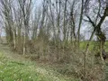 Terrains de loisirs bois etangs a vendre Le Mans 72000 Sarthe 72 11800 euros 72126-2902 003
