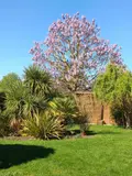 Maison a vendre Saint-Père 89450 Yonne 89 124 m2 5 pièces 449000 euros 35084-828 013