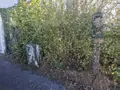 Terrain a batir a vendre Saint-Thuriau 56300 Morbihan 56 39400 euros 56062-2359 004