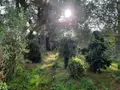 Terrain a batir a vendre Le Fenouiller 85800 Vendée 85 64600 euros 85091-5164 002